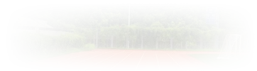 廣州中醫藥大學
