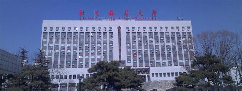 北京林业大学大楼