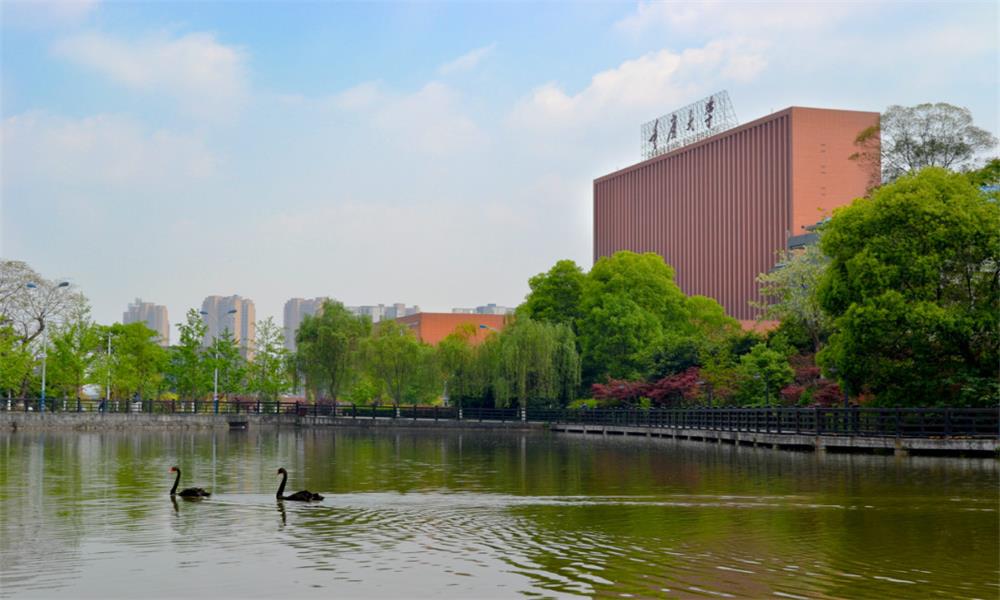 重庆大学风景