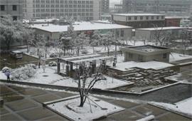 北京林業大學冬景