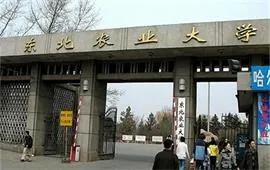 东北农业大学正门