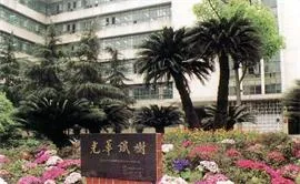 西南财经大学光华铁树