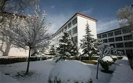 西藏大学雪景