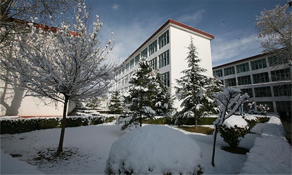 西藏大学雪景