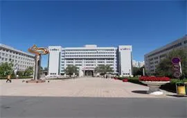 新疆大学大道