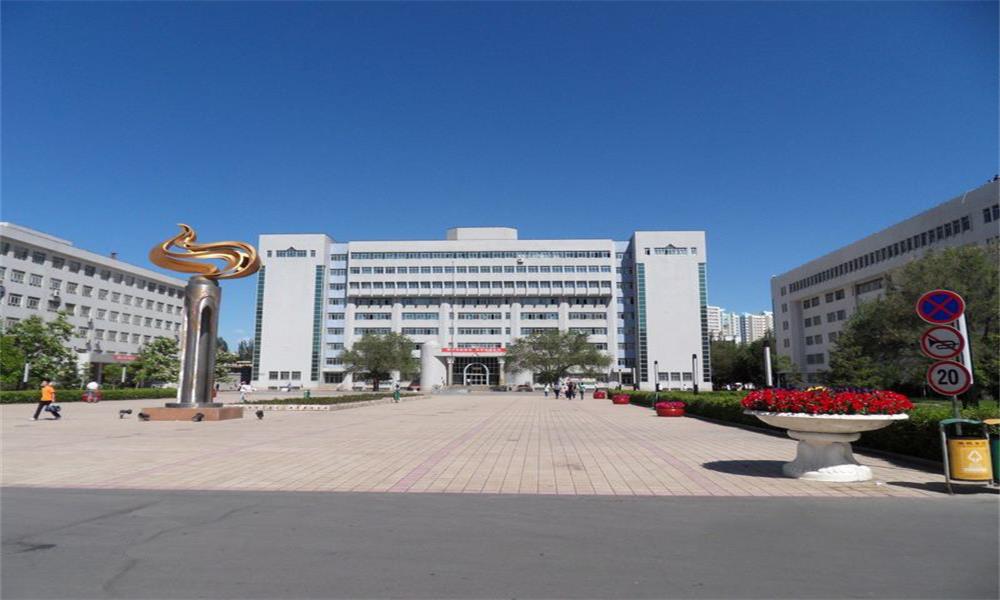 新疆大学大道