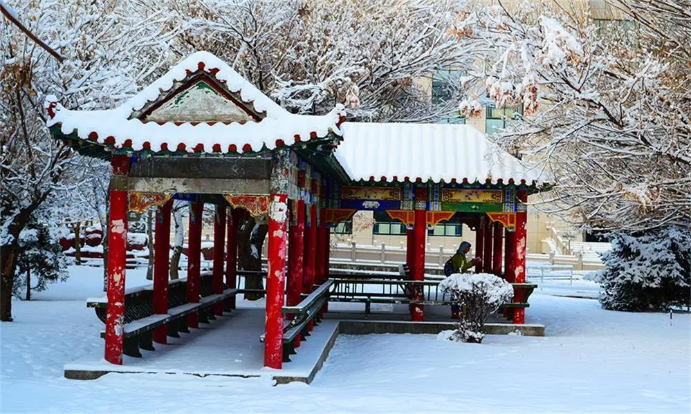 石河子大学雪景