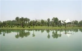 上贸大美景
