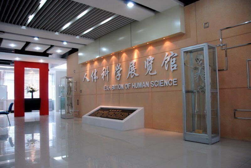 沈阳医学院人体科学展览馆