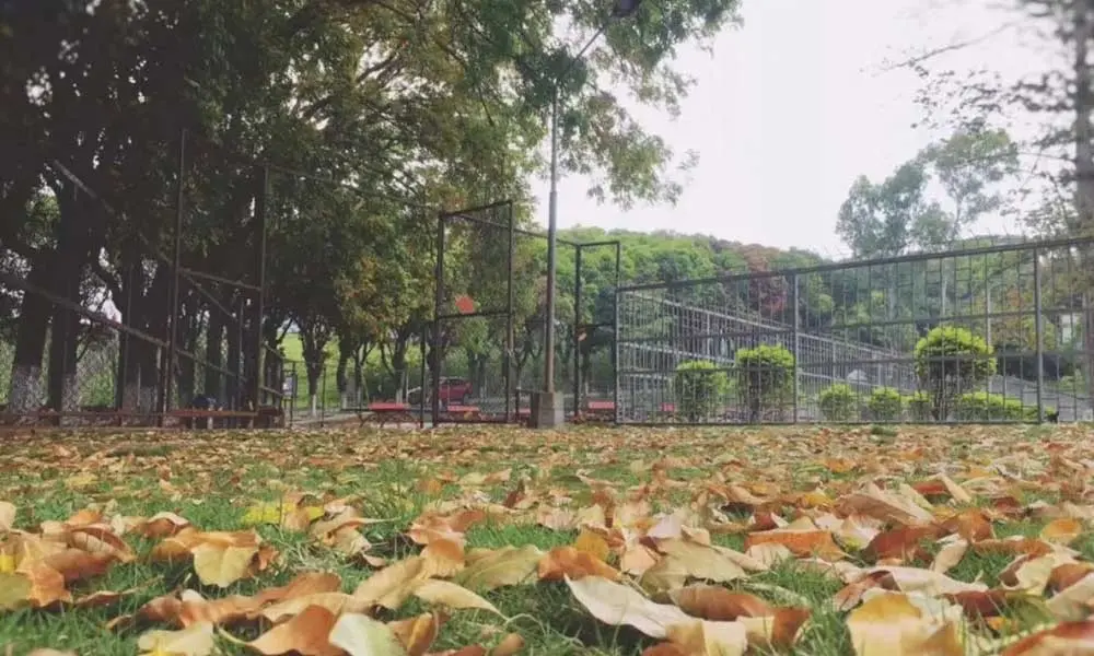 汕头大学操场