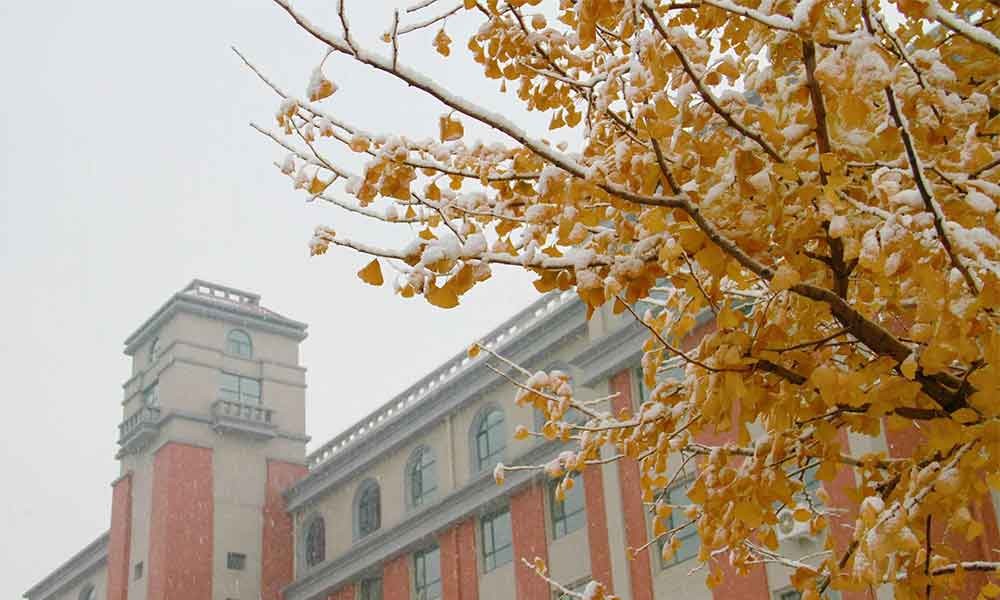 渤海大學雪景