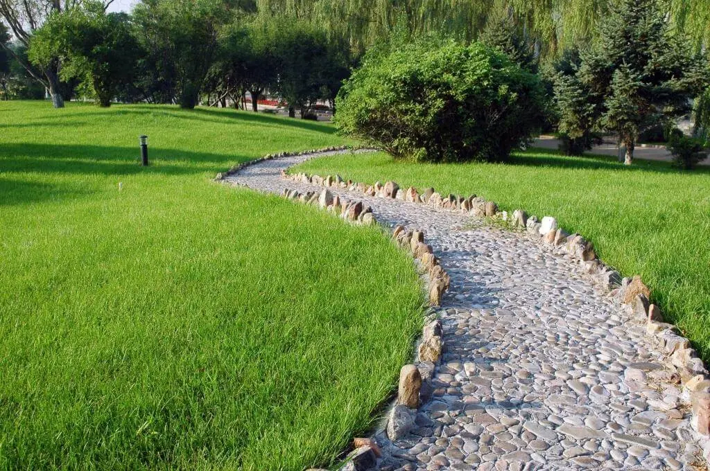 锦州医科大学校园小路