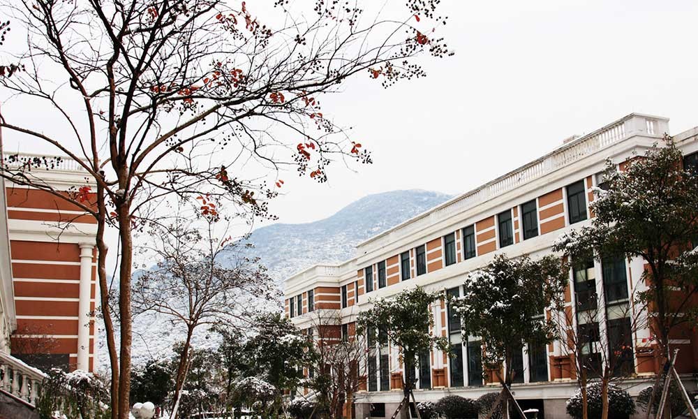 温州医科大学雪景