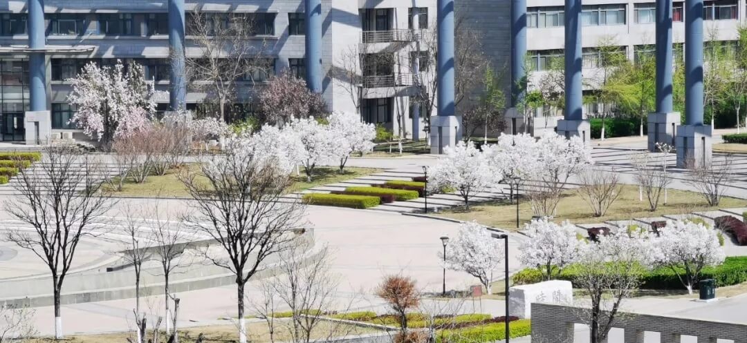 天津师范大学花园