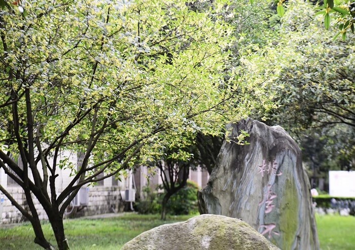 四川师范大学风景