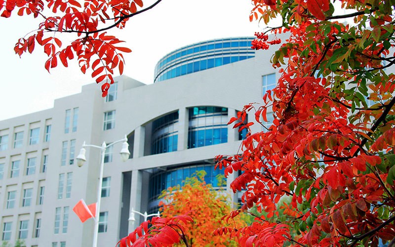 哈尔滨商业大学风景