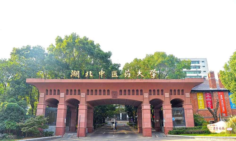 湖北中医药大学