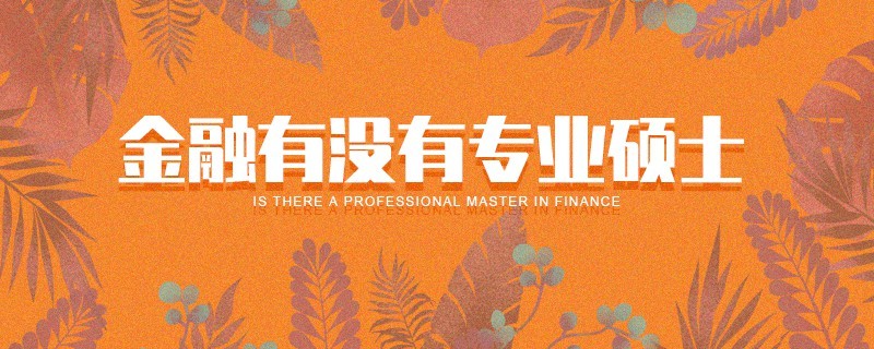 金融有没有专业硕士