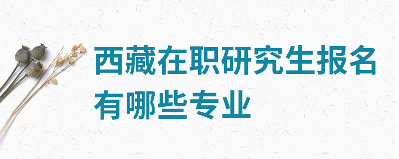 西藏在职研究生报名有哪些专业