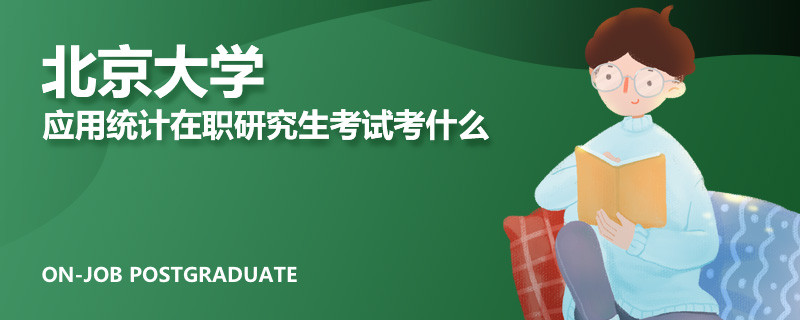 北京大學應用統計在職研究生考試考什么