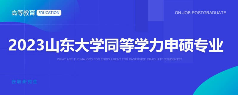 2023山东大学同等学力申硕专业