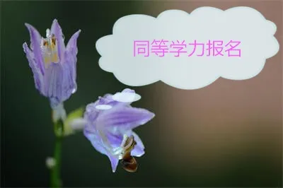 南开大学同等学力申硕什么时候报名？