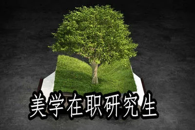 报考美学在职研究生同等学力与高级研修的区别