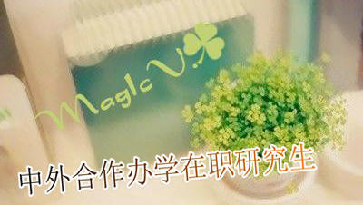 上海财经大学在职研究生中外合作办的优势？