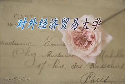 对外经济贸易大学专业硕士报考条件是什么？