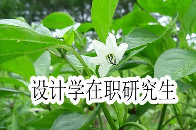 报考设计学在职研究生有什么优势？