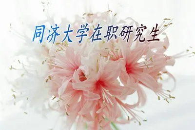 同济大学在职研究生以专业硕士的方式进修可以免试入学吗？