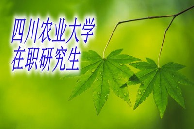 四川农业大学在职研究生有用吗？