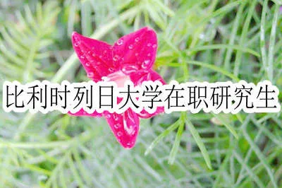 比利时列日大学在职研究生可怎样进行报考学习？
