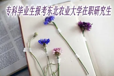 专科毕业生可以报考东北农业大学在职研究生吗？