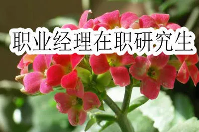 职业经理在职研究生就业前景好吗？