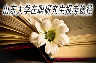 山东大学在职研究生有哪些报考途径？