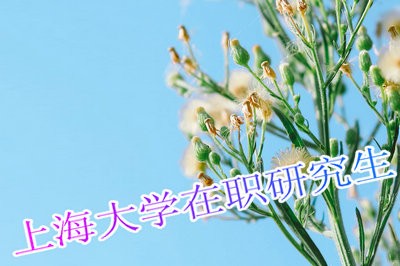 上海大学在职研究生毕业后就业率高吗？