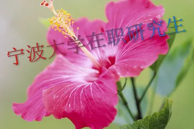 宁波大学双证在职研究生是指哪两个证？