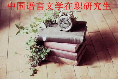 中国语言文学在职研究生还有院校在招生吗？