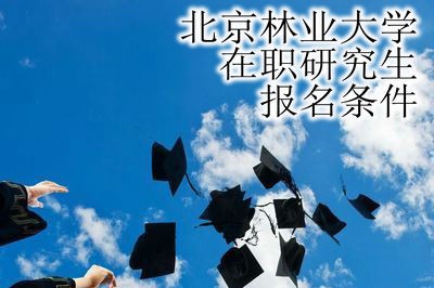 北京林业大学在职研究生的报名条件？