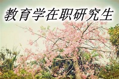 教育學(xué)在職研究生的報(bào)名時(shí)間是什么時(shí)候？