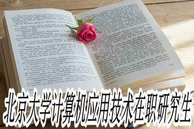 北京大学计算机应用技术在职研究生教学方法