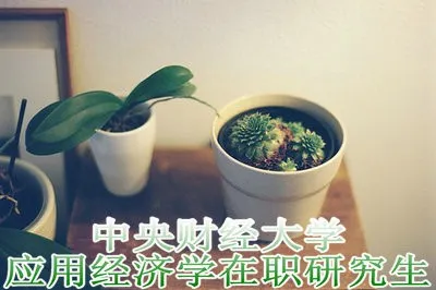 中央财经大学应用经济学在职研究生有用吗？
