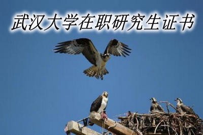 武汉大学在职研究生可以获得哪些证书？有用吗？