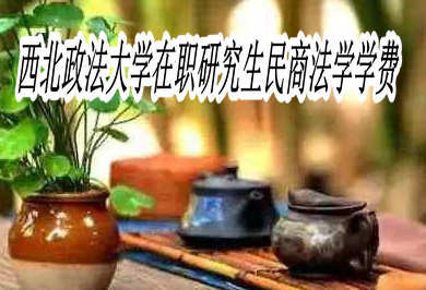 西北政法大学在职研究生民商法学的学费是多少？