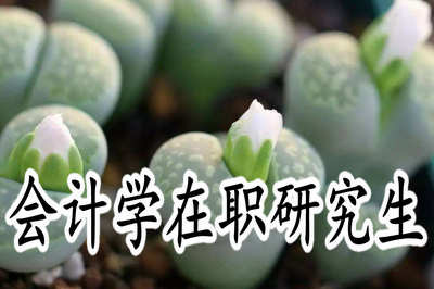 哪些院校设有会计学在职研究生？