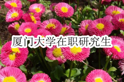 廈門大學(xué)在職研究生都有在哪些地區(qū)開班授課？