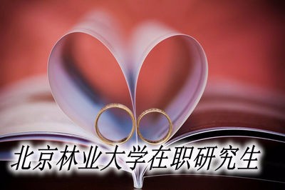 攻读北京林业大学在职研究生需要满足哪些条件？  