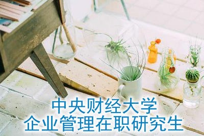 中央财经大学中外合作办学企业管理在职研究生有哪些优势？