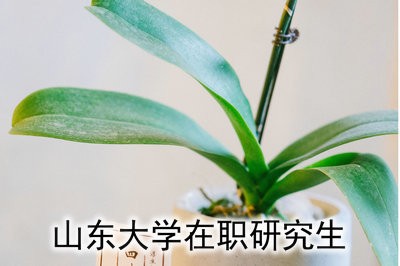 就读山东大学国际贸易学在职研究生所需费用是多少？